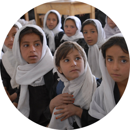 官方正版授权软件的催收短信电话轰炸机